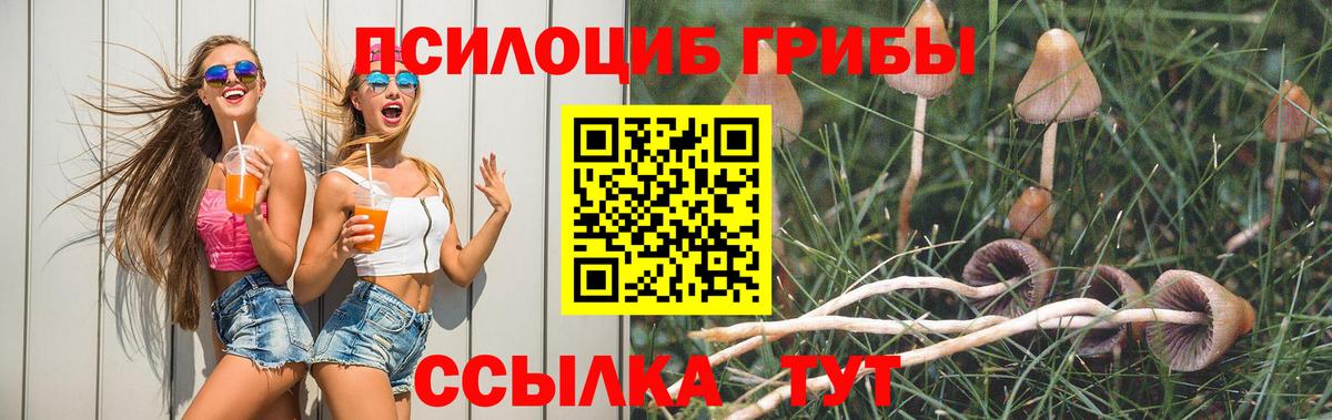 Псилоцибиновые грибы прущие грибы  цена наркотик  Магнитогорск  Вход с VPN 